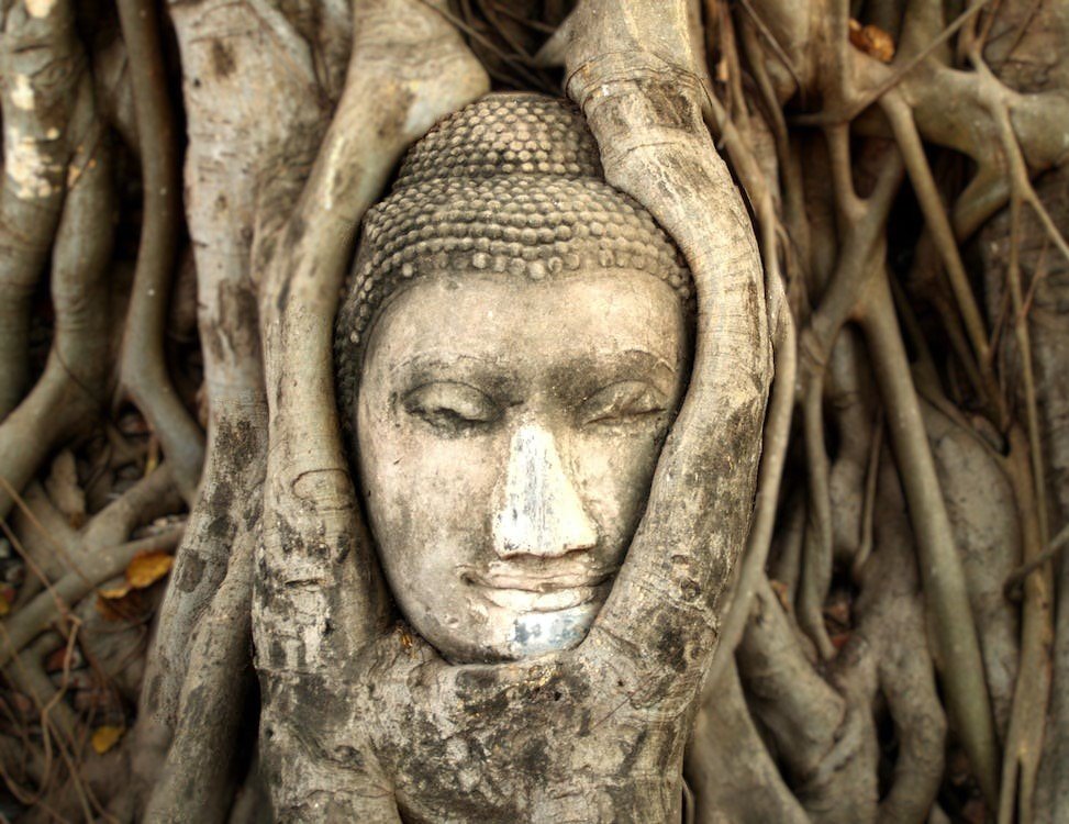 buddha tree face wallpaper