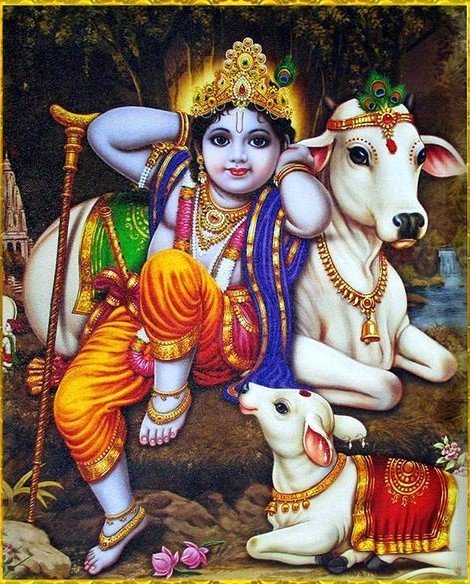 little krishna sitting with cow wallpaper